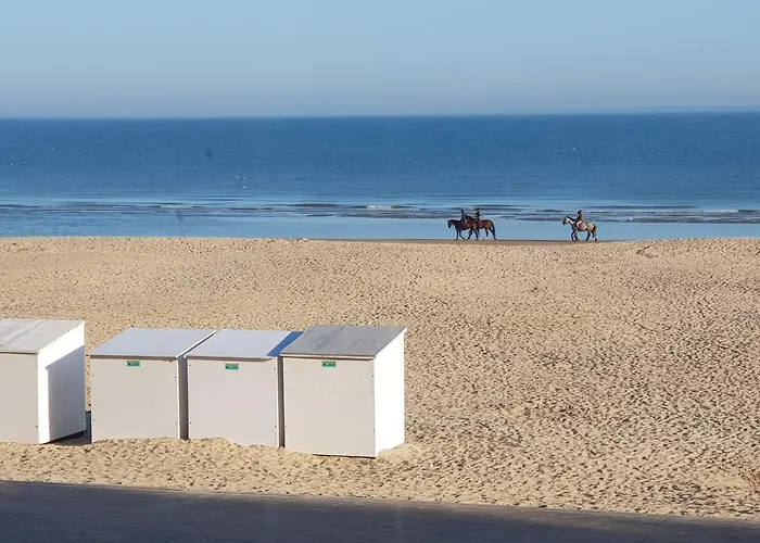 아파트 Zeedijk Ladigue102 Appartement-lateraal Zeezicht 코크시데